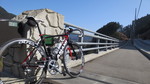 20130227c.jpg